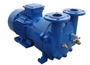 2BV5131 Water Ring Vacuum Pump