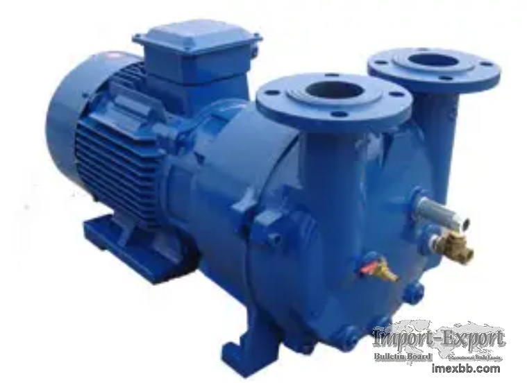 2BV5131 Water Ring Vacuum Pump