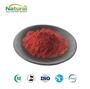 [SELL] Hibiscus Sabdariffa Flower Extract Powder VC 10‑40% Natural Roselle 