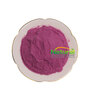 Acai Berry Extract Powder Bulk  Açaí Fruit Extract (Euterpe oleracea) Powd