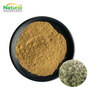 Mugwort Extract Powder 10:1  Artemisia Argyi Leaf Extract Wholesale Suppli