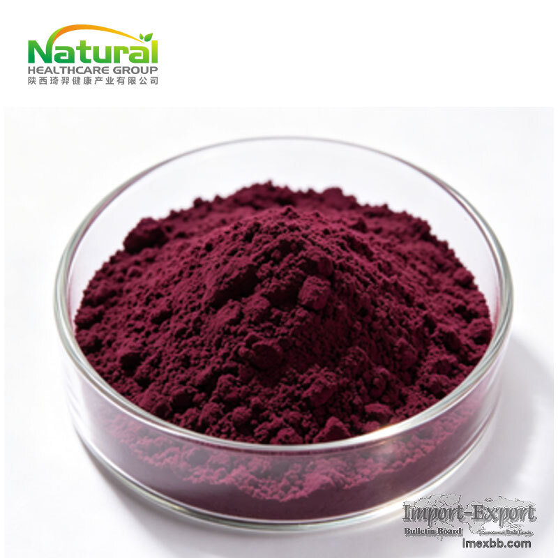 Aronia Juice Powder  Aronia Melanocarpa Berry Juice Powder Rich in Anthocy