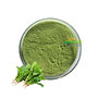 Spinach Extract Powder  Spinacia Oleracea Leaf Extract Rich in Chlorophyll
