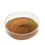 Thyme Extract  Thymus Vulgaris Extract Rich in Thymol, Wholesale Supplier 