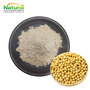 Soybean Extract Powder  Glycine Max Extract Soy Isoflavones 10%/20%/40%, N