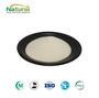 Konjac Extract Glucomannan 90% Powder