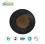 Sennosides A+B Powder Cassia Angustifolia Extract 5%-20% Spray Dried