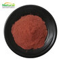 Salvia Miltiorrhiza Extract Danshen Extract Powder Salvianolic Acid B Tansh