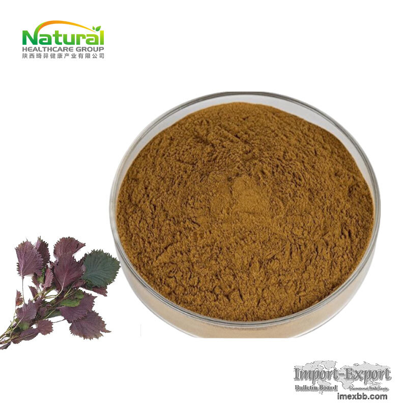 Perilla Frutescens Extract Purple Perilla Leaf Extract Powder Rosmarinic Ac
