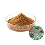 Cynara Scolymus Extract Artichoke Extract Powder Cynarin