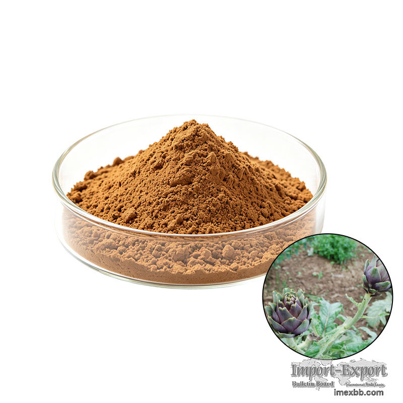 Cynara Scolymus Extract Artichoke Extract Powder Cynarin