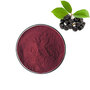Sambucus Nigra Extract Elderberry Extract Powder Anthocyanins