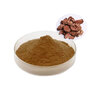 Rhodiola Rosea Extract Powder Salidroside Rosavin