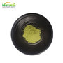 Barley Grass Powder Barley Leaf Powder Hordeum Vulgare Young Leaf Powder