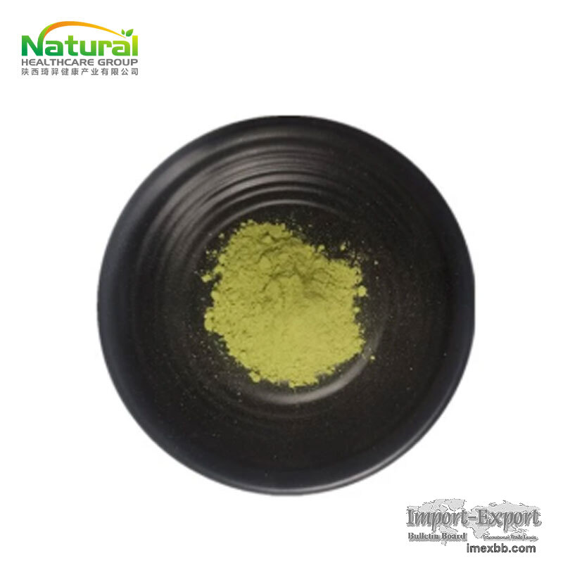 Barley Grass Powder Barley Leaf Powder Hordeum Vulgare Young Leaf Powder