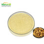 Scutellaria Baicalensis Extract Baical Skullcap Extract Powder Baicalin