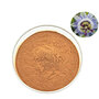 Passiflora Incarnata Extract Passion Flower Extract Powder Total Flavones V