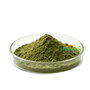 Moringa Oleifera Leaf Powder Moringa Leaf Powder Food Grade