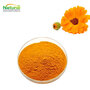 Calendula Officinalis Extract Calendula Extract Powder Lutein Flavonoids