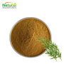 Natural Rosemary Leaf Extract Rosmarinus Officinalis Extract Rosmarinic Aci