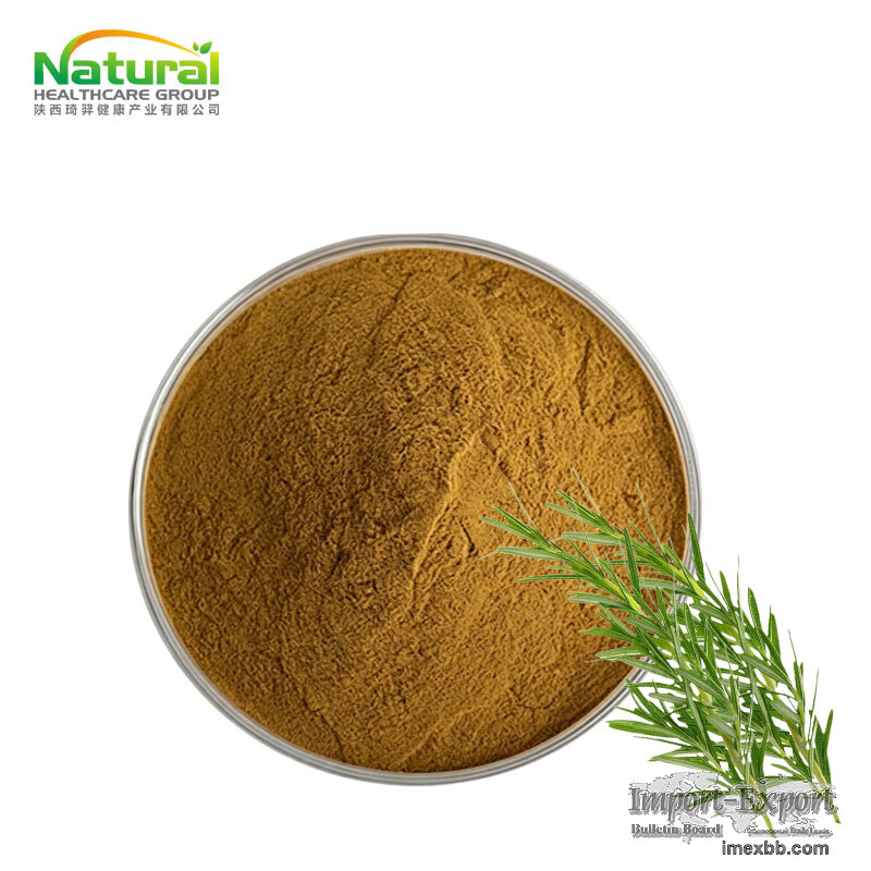 Natural Rosemary Leaf Extract Rosmarinus Officinalis Extract Rosmarinic Aci