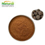 Lepidium Meyenii Extract Black Maca Root Extract Powder Macamides Macaenes
