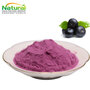 Euterpe Oleracea Extract Acai Berry Extract Powder Anthocyanins Polyphenols