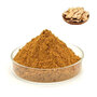 Angelica Sinensis Extract Dong Quai Extract Powder Ferulic Acid Ligustilide