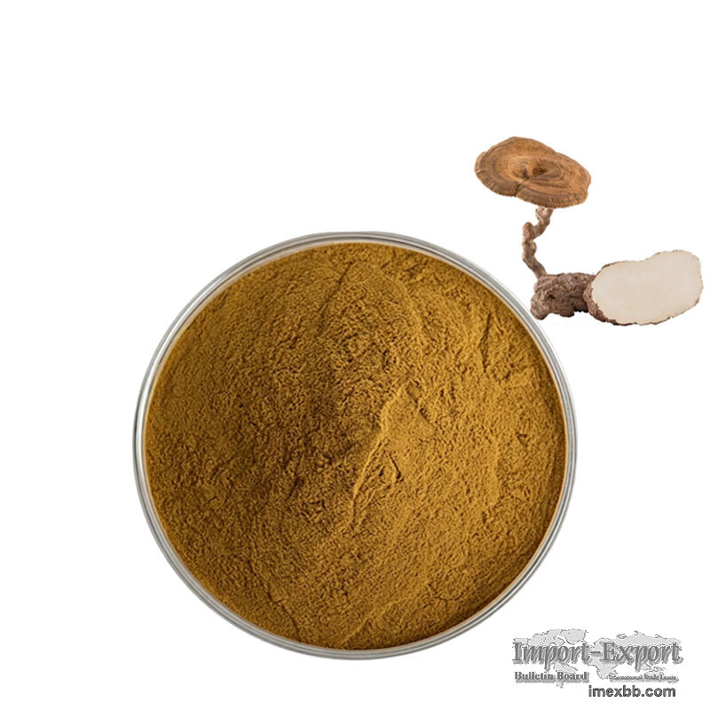 Lignosus Rhinocerotis Extract Tiger Milk Mushroom Extract Powder Polysaccha