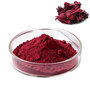 Hibiscus Sabdariffa Extract Roselle Extract Powder Anthocyanins Polyphenols