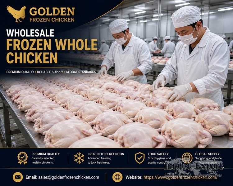 Discover the Best Whole Frozen Chicken & Parts Supplier for Worldwide Deliv