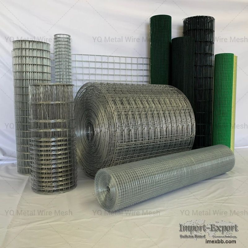 Galvanized Welded Wire Mesh Roll/Panel