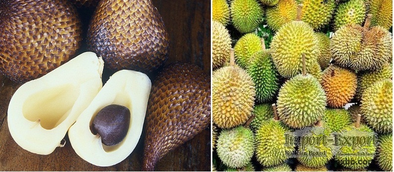 Snake Fruit