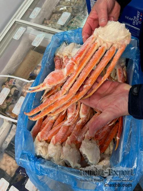 Cooked King Crab, frozen King Crab, live King Crab