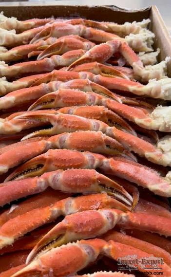 Wholesale Snow Crab Meat – Bulk Frozen Seafood Export