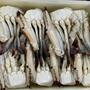 Premium Frozen Blue Swimming Crab – Wholesale Seafood Supplier