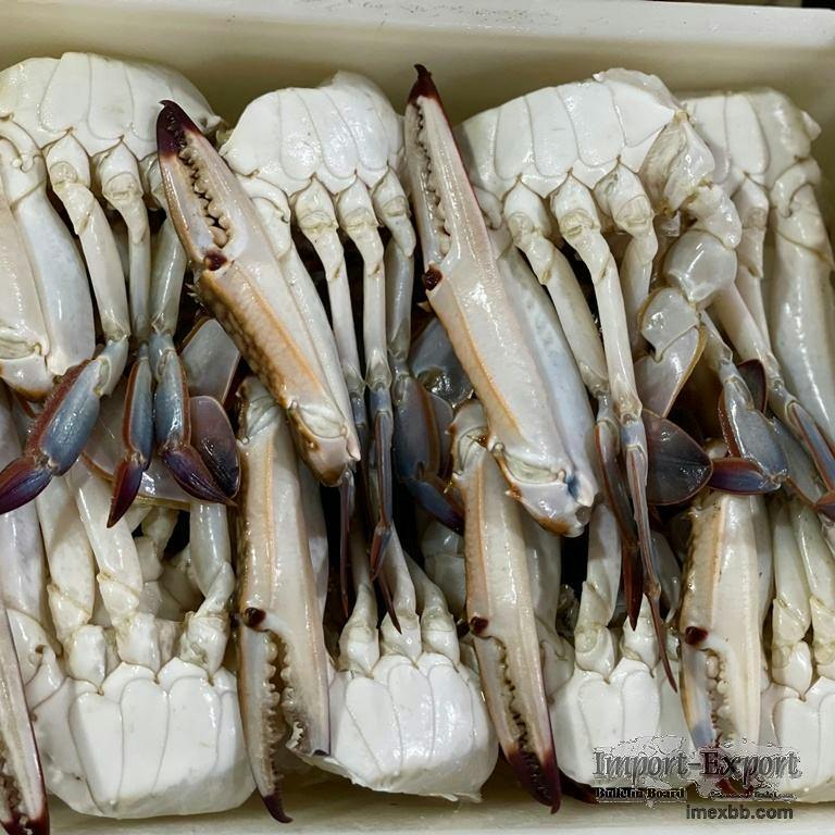Premium Frozen Blue Swimming Crab – Wholesale Seafood Supplier