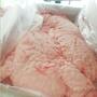 Wholesale Halal Lamb Tail Fat/ Frozen Lamb Tail Frozen/ Frozen Lamb For Sal