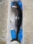 Frozen Bluefin Tuna Fish – Frozen Seafood for Retail & Distribution