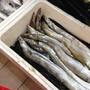 Frozen Ribbon Fish Carefully Selected Marine Seafood With Superior Freshnes
