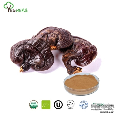 Reishi Extract