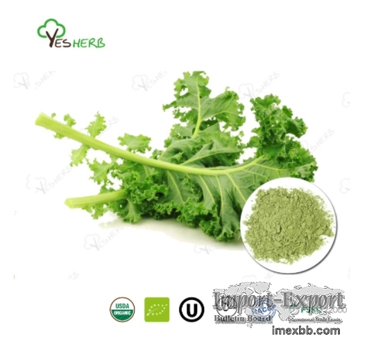 Kale Powder