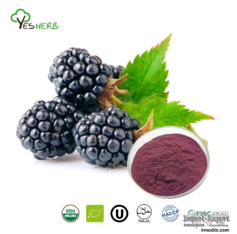 Mulberry Powder