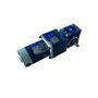 Brushed DC Worm Gear Motor