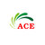 ACE Biotechnology Co., Ltd. Logo