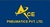 ACE PNEUMATICS PVT.LTD Logo