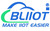 BLIIoT Technology Co., Ltd. Logo