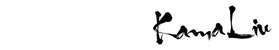 Cixi Hongchang Electronic Co., Ltd Logo