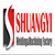 Dalian Shuangyi Metal Products Co., Ltd. Logo