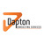 Dapton Consultancy Services  Logo